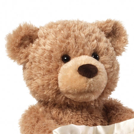 Peekaboo Teddy Bear š§ø