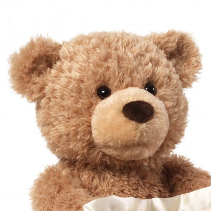 Peekaboo Teddy Bear 🧸